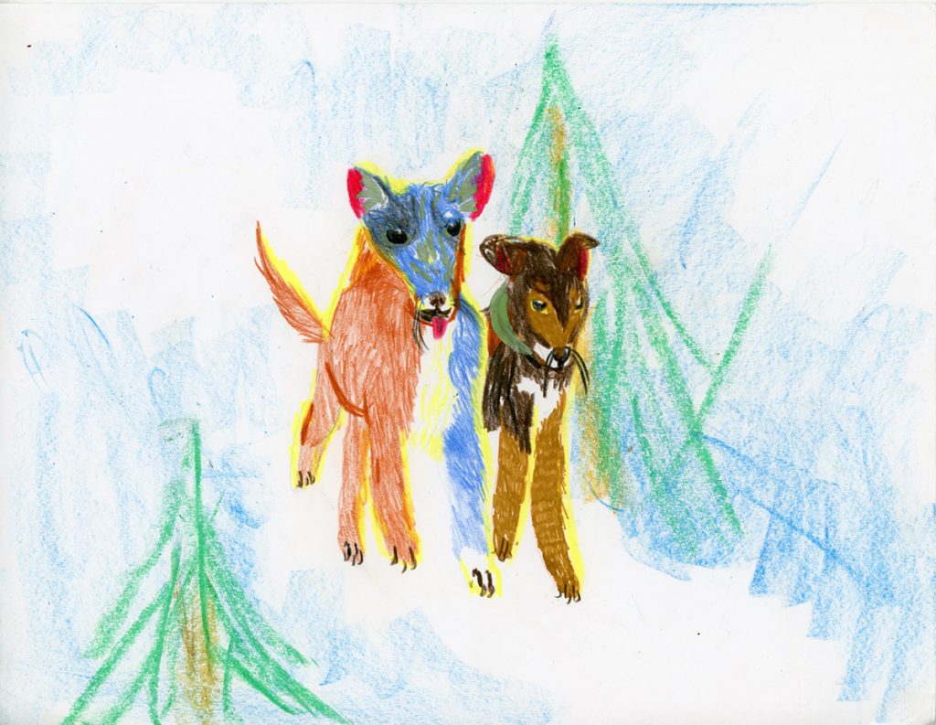 two very colorful dogs in a snowy forest